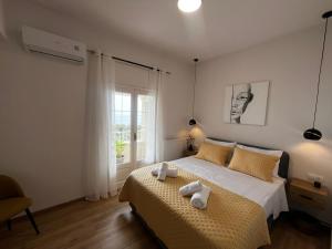 Anifo Home