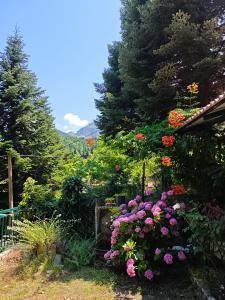 Mountain Nook Melissourgoi