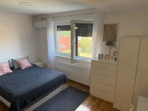 Petica Apartment with Free Parking Near Center