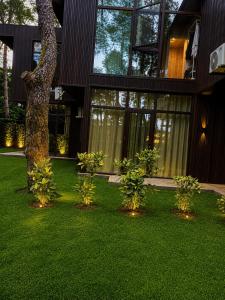 Buxus Villas Shekvetili