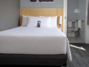 Ibis Hermosillo