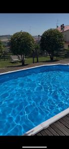 CaSilvia