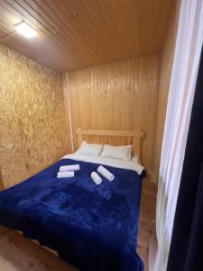 Alpine Lodge Bakhmaro