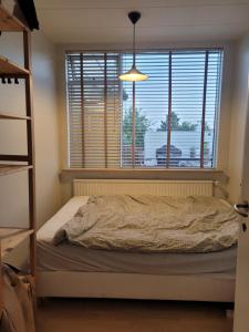 Cozy Apartment with Large Terrace in Kopavogur