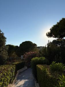Sun & Sea