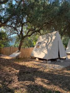 Borsh Olive Camping