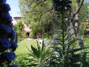 B&B / Chambres d'hotes B&B Le clos des vignes Saint Raphael : photos des chambres