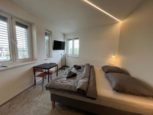 GENIUS APARTMENTS - Adults Only