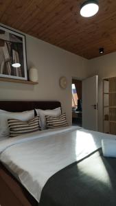 ArcChalet Transylvania