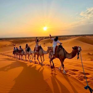 Best-Merzouga traditional camps