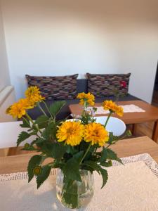 Apartament Zacisze