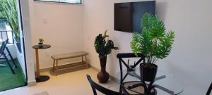 Casa Palhas - Loft Aconchegante no Centro
