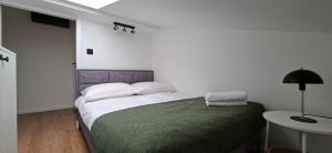 Apartament Loft