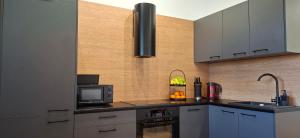 Apartament Loft