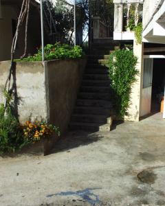 Apartments and rooms by the sea Zuljana, Peljesac - 256