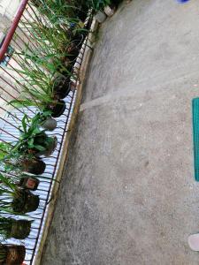 Inn Maugay Bed and Bath