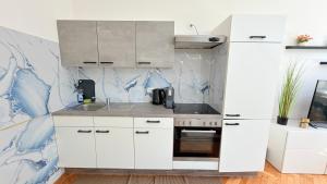 Elegant apartment I MZ17B