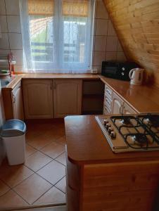 Domki letniskowe Bieszczady Olchowiec