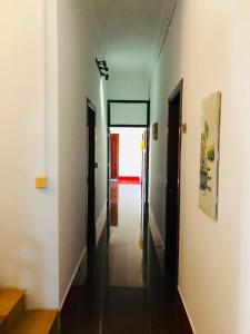 SAFIR Hotels and Hostels