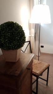 Veronetta lovely apartment