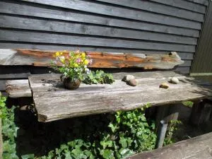 Ferienwohnungen Kanuhof - Freest