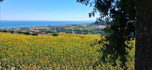 Casa vacanza del Cavallo