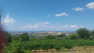 Agriturismo Villa Paradisino MUSICO