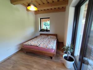 Banícky Dom Špania Dolina - Apartmán Dolina