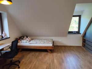 Banícky Dom Špania Dolina - Apartmán Dolina
