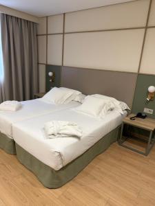 Hotel Carlton Rioja