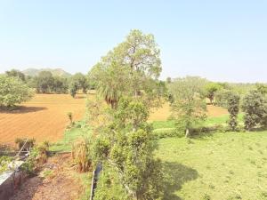 Gaureesa गौरीसा