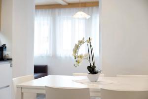 Apartments Mupan St. Vigil