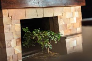 Villa Glicine -Historic Mediterranean Villa-