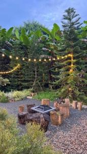 360 Black Cabin - Mountain View & Warm Mineral Pool