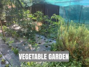 GOLDEN HILL Rooms and Shows Quiet Spacious Rooms, Garden, Shared Kitchen and Theatre
