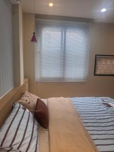 Mango Home & Apartment