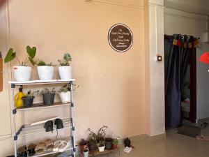 The WildFern Homestay with self cooking facility