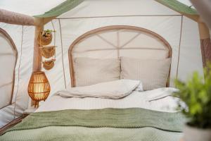 Romantisches Glamping Zelt auf Rügen - Übernachten mitten im Kiefernwald - nur 100m bis zum Strand - Ideal für Paare und kleine Familien - Zelt Nr 1