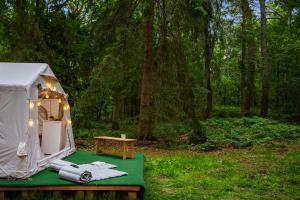 Romantisches Glamping Zelt auf Rügen - Übernachten mitten im Kiefernwald - nur 100m bis zum Strand - Ideal für Paare und kleine Familien - Zelt Nr 1