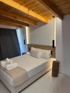44 suites Lygia