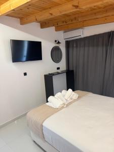 44 suites Lygia