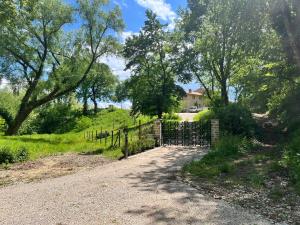 Vista Romena