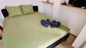 Begona 231 City Center Studio Nogalera