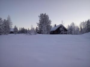 Vuokatti Cottages