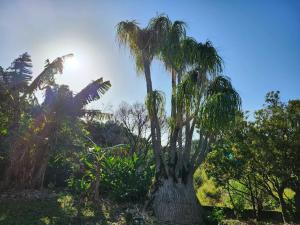 Shima-Asana, Private Yoga Retreat - Vacation STAY 89420v