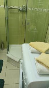 Zielone Tarasy - Apartament Amfiteatr