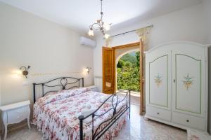 Il Vigneto