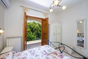 Il Vigneto