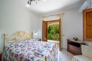 Il Vigneto