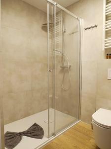 Willa Zieleniec - apartamenty z Ogrodem SPA